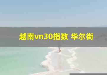 越南vn30指数 华尔街